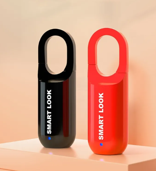 Smart Fingerprint Lock,